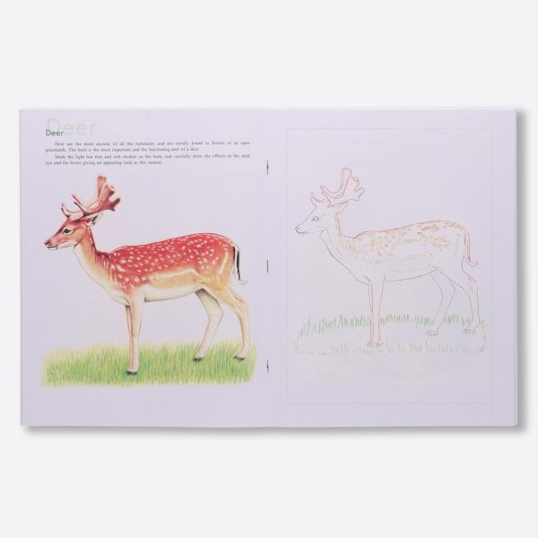 Navneet Art Of Sketching Book - Image 9