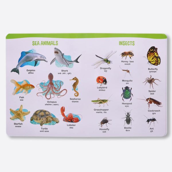 Navneet All In One Board Book (Marathi) - First Early Learning book for Kindergarten - Picture Board book for toddlers and babies - Image 3