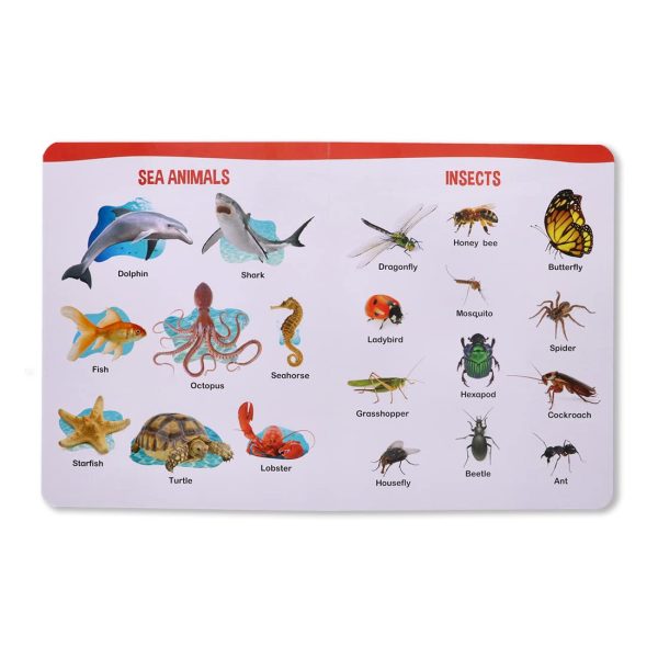 Navneet All In One Board Book (Eng.) - First Early Learning book for Kindergarten - Picture Board book for toddlers and babies - eBook - Animated... - Image 2