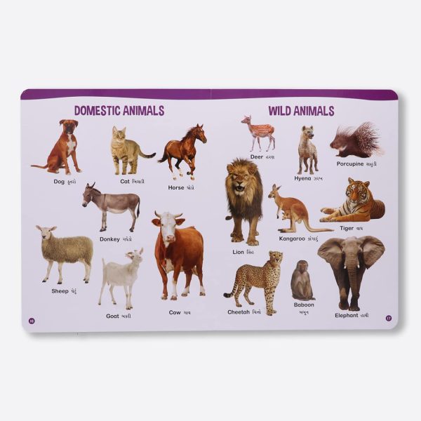 Navneet All In One Board Book (Gujarati) - First Early Learning book for Kindergarten - Picture Board book for toddlers and babies - Image 6
