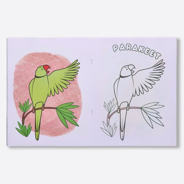 Navneet A Collection Of Fun With Copy Colour Book- Set of 3 - Image 8