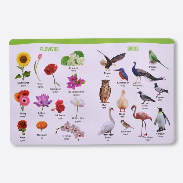 Navneet All In One Board Book (Marathi) - First Early Learning book for Kindergarten - Picture Board book for toddlers and babies - Image 7
