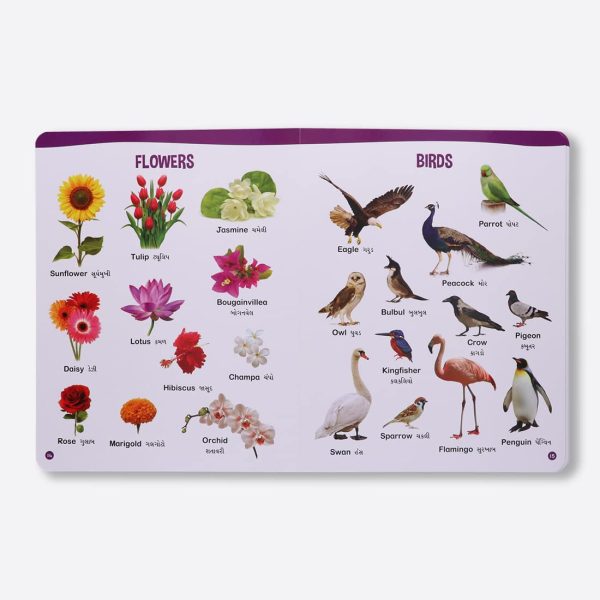 Navneet All In One Board Book (Gujarati) - First Early Learning book for Kindergarten - Picture Board book for toddlers and babies - Image 7