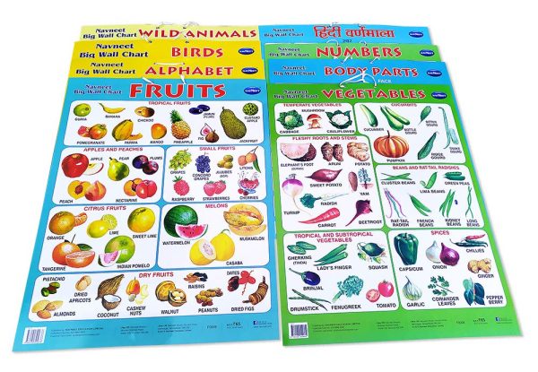 Navneet Navneet Big Wall Charts - Combo of 8 - Image 4