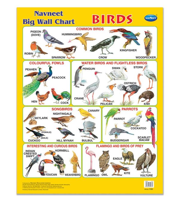 Navneet Navneet Big Wall Charts - Combo of 8 - Image 5