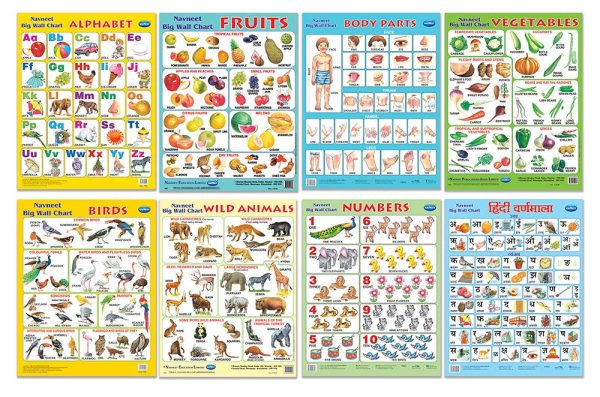 Navneet Navneet Big Wall Charts - Combo of 8