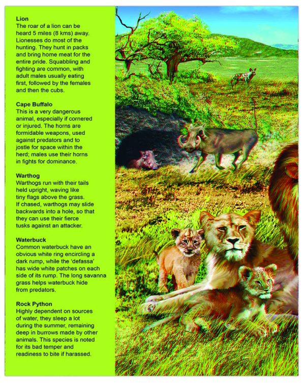 Navneet 3D Books (Explore the stunning images) - The Animal Kingdom - Image 4
