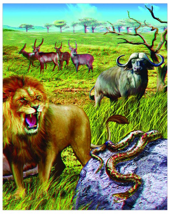 Navneet 3D Books (Explore the stunning images) - The Animal Kingdom - Image 5