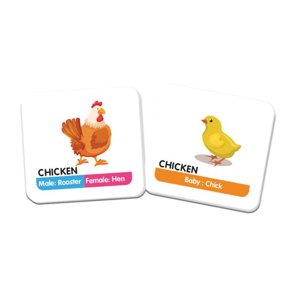 Funskool Animal Family Memory - Image 2