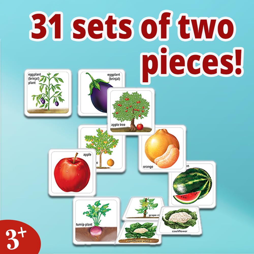 Creative’s Fruits Vegetables & Their Plants Learn The Importance of Fruits & Vegetables in Our Daily Life Memory Games Learning & Educational Ages 4+ - Image 4